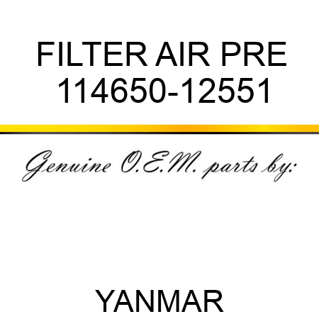 FILTER, AIR PRE 114650-12551
