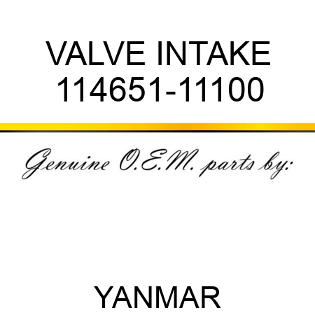 VALVE, INTAKE 114651-11100