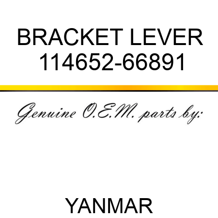 BRACKET, LEVER 114652-66891