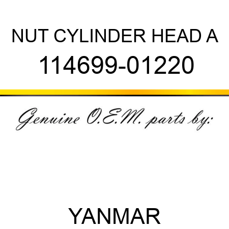 NUT, CYLINDER HEAD A 114699-01220