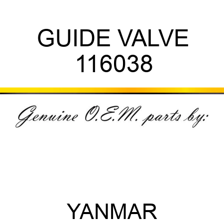 GUIDE, VALVE 116038
