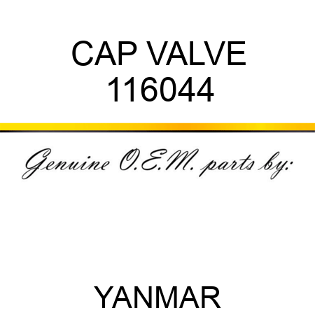 CAP, VALVE 116044