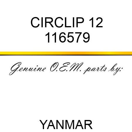 CIRCLIP, 12 116579