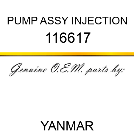 PUMP ASSY, INJECTION 116617