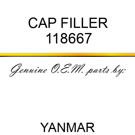CAP, FILLER 118667