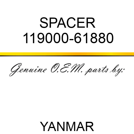 SPACER 119000-61880