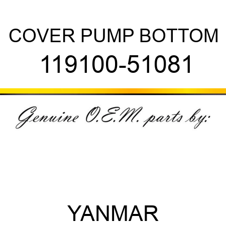 COVER, PUMP BOTTOM 119100-51081