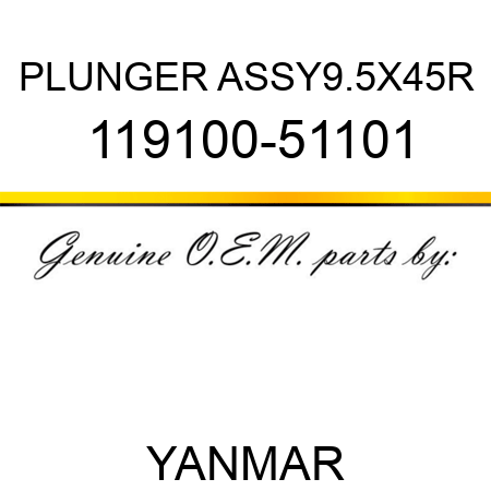 PLUNGER ASSY,9.5X45R 119100-51101