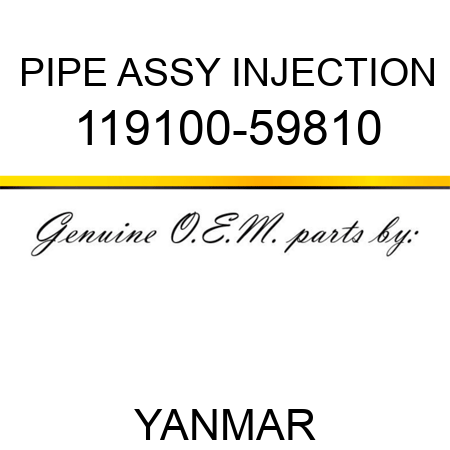 PIPE ASSY, INJECTION 119100-59810