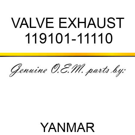 VALVE, EXHAUST 119101-11110