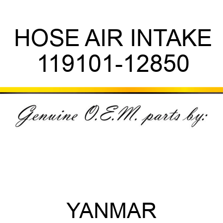HOSE, AIR INTAKE 119101-12850
