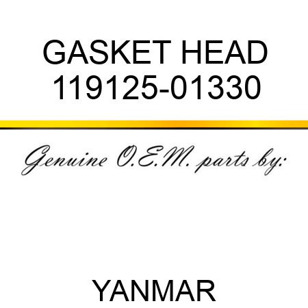 GASKET, HEAD 119125-01330