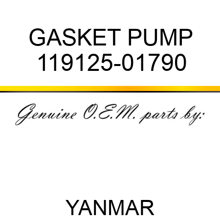 GASKET, PUMP 119125-01790