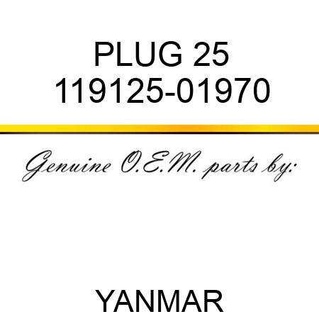PLUG, 25 119125-01970