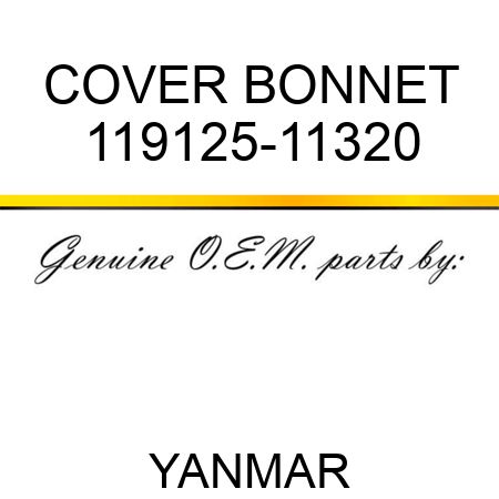 COVER, BONNET 119125-11320