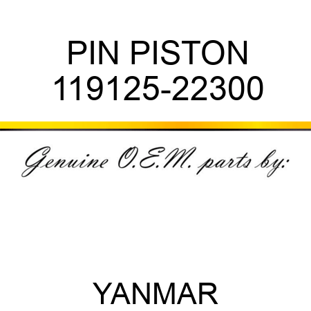 PIN, PISTON 119125-22300