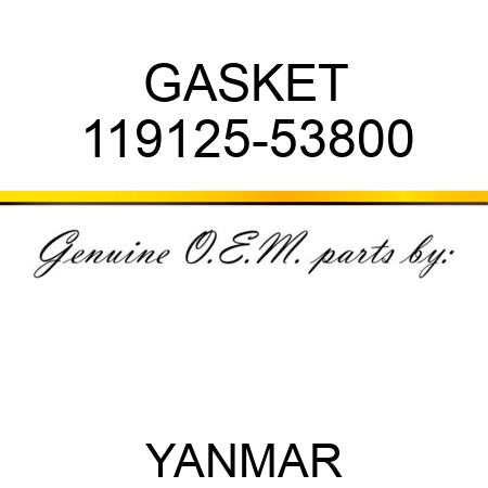GASKET 119125-53800