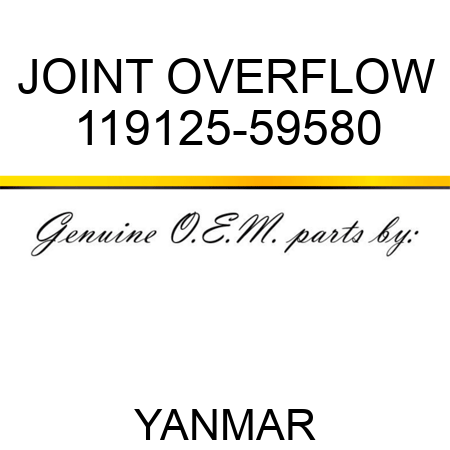 JOINT, OVERFLOW 119125-59580