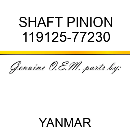 SHAFT, PINION 119125-77230