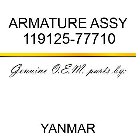 ARMATURE ASSY 119125-77710