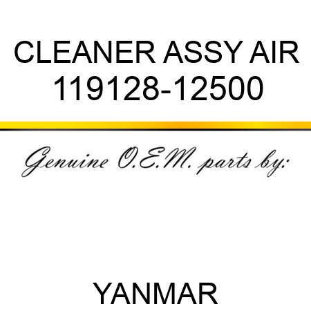 CLEANER ASSY, AIR 119128-12500