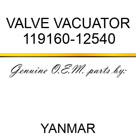VALVE, VACUATOR 119160-12540