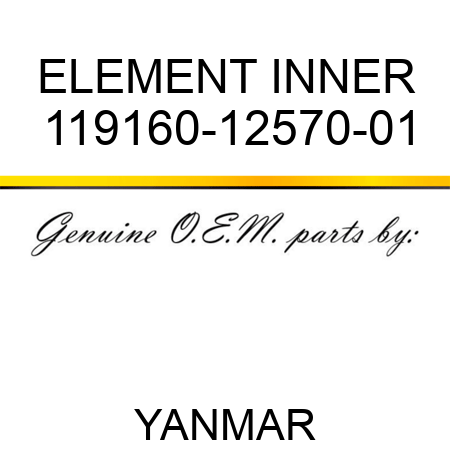 ELEMENT, INNER 119160-12570-01
