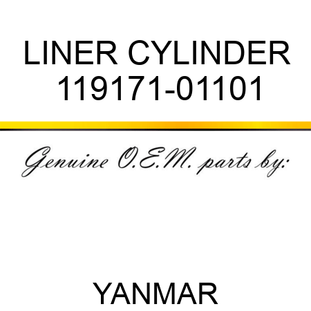 LINER, CYLINDER 119171-01101