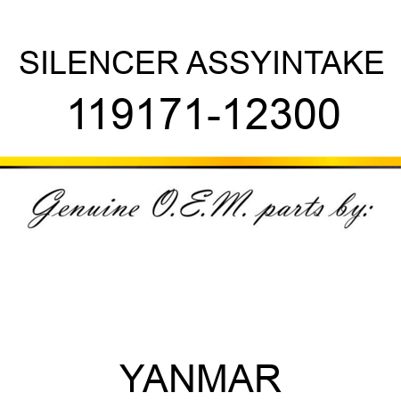 SILENCER ASSY,INTAKE 119171-12300
