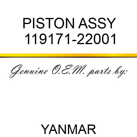 PISTON ASSY 119171-22001