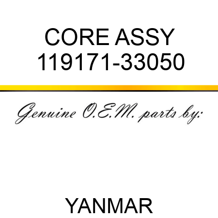CORE ASSY 119171-33050