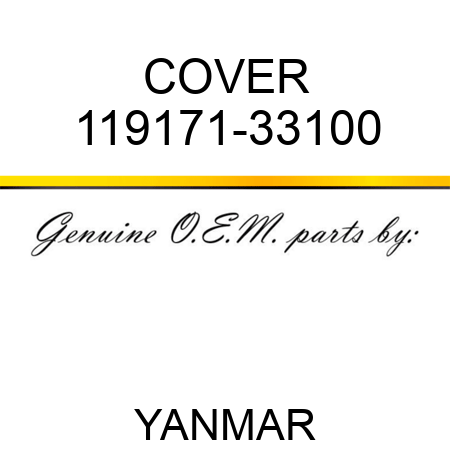 COVER 119171-33100
