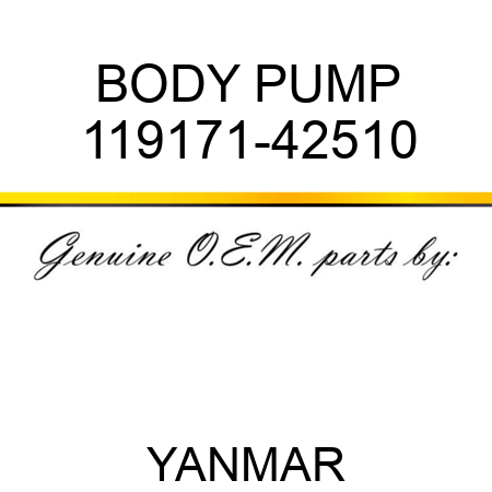 BODY, PUMP 119171-42510