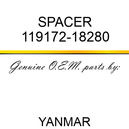 SPACER 119172-18280
