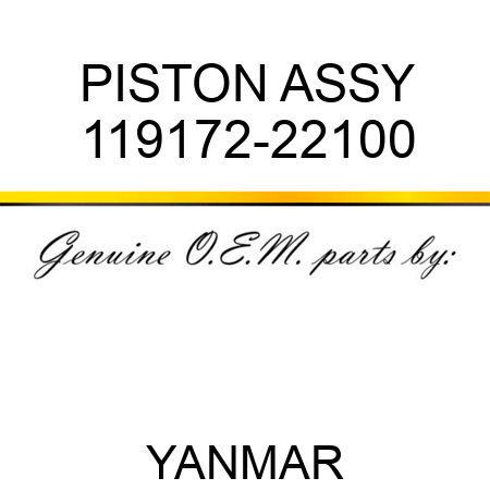 PISTON ASSY 119172-22100