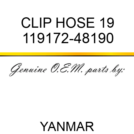CLIP, HOSE 19 119172-48190