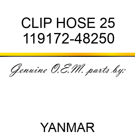 CLIP, HOSE 25 119172-48250
