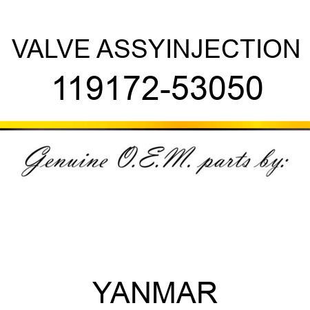 VALVE ASSY,INJECTION 119172-53050