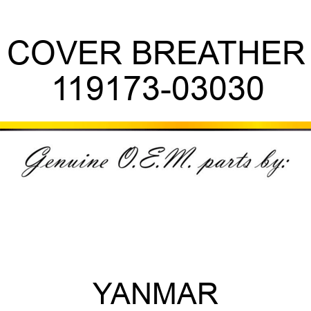 COVER, BREATHER 119173-03030