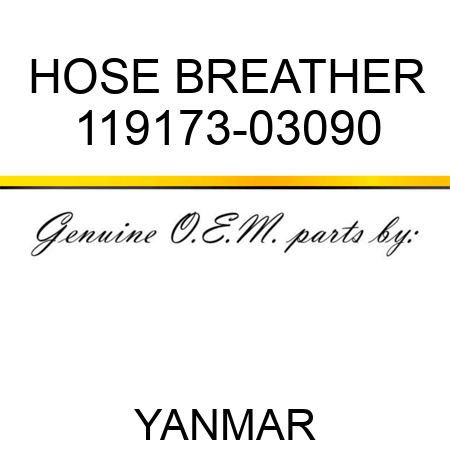 HOSE, BREATHER 119173-03090