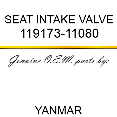 SEAT, INTAKE VALVE 119173-11080