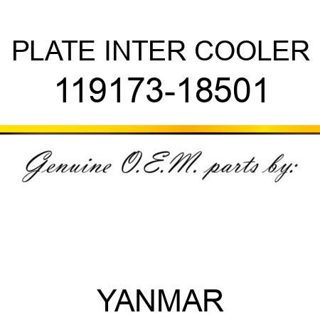 PLATE, INTER COOLER 119173-18501