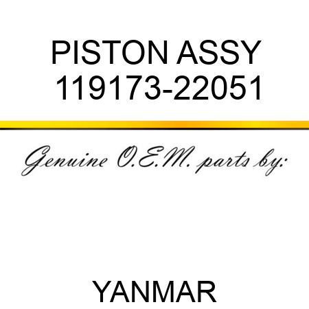 PISTON ASSY 119173-22051