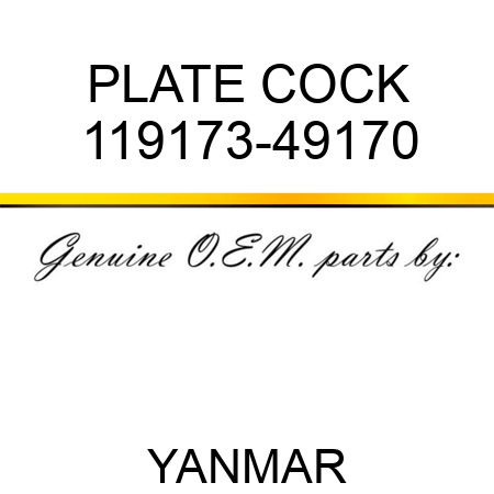 PLATE, COCK 119173-49170