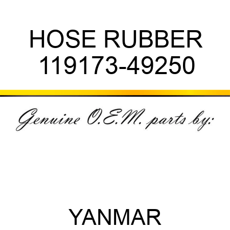 HOSE, RUBBER 119173-49250