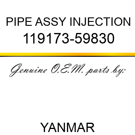PIPE ASSY, INJECTION 119173-59830