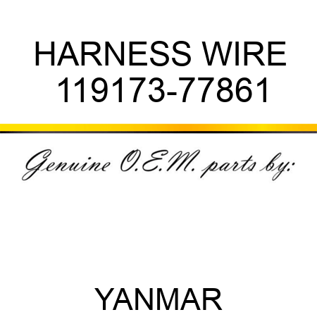 HARNESS, WIRE 119173-77861