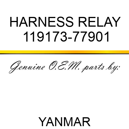 HARNESS, RELAY 119173-77901