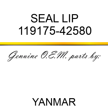 SEAL, LIP 119175-42580