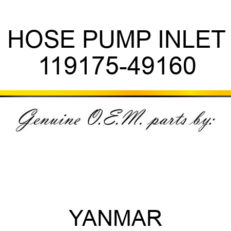 HOSE, PUMP INLET 119175-49160